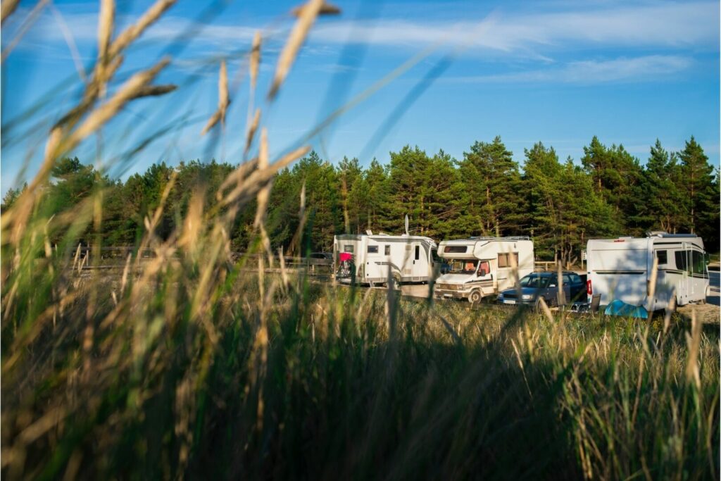 A group of RVs parked in a wooded area for camping