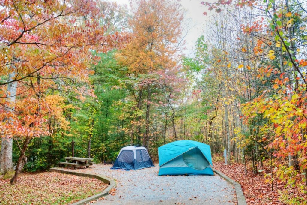 Tents in a campsite during the fall as the leave changes colors in the Blue Ridge Mountains.
