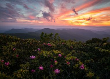 A colorful sunset over the Blue Ridge Mountains in Asheville, NC, with wildflowers dotting the landscape.