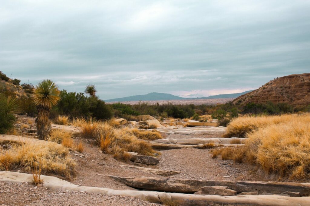 Ernst Tinaja Trail in Big Bend National Park, Texas takes you through the dry desert terrain.