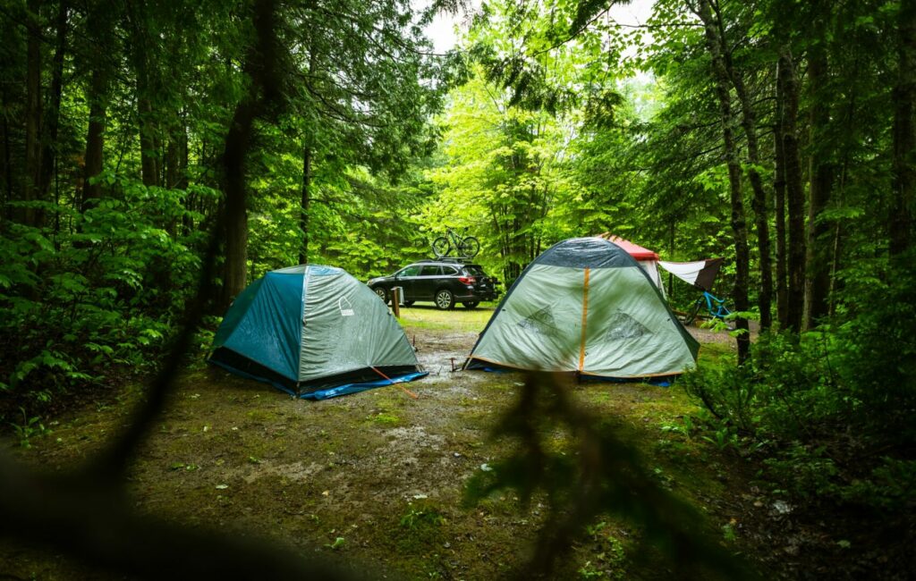 Tent campers enjoy a private campsite in the woods in the summer.