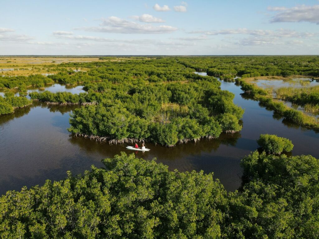 An aerial view of boaters navigating the waterways in Big Cypress National Preserve in Florida