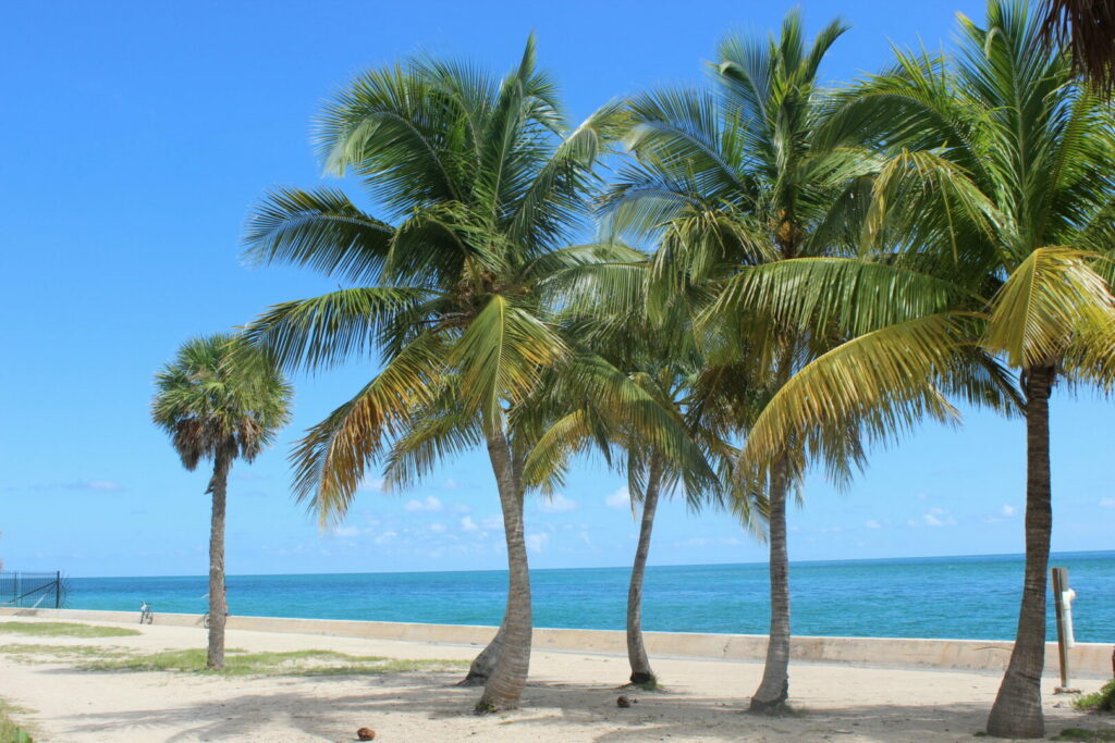 Leave your RV at one of the many RV parks in Florida Keys and walk along the beach and palm trees.