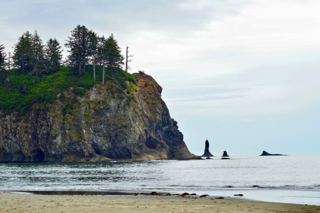 A view of Pacific Beach State Park, a perfect place to visit for a beach campground.