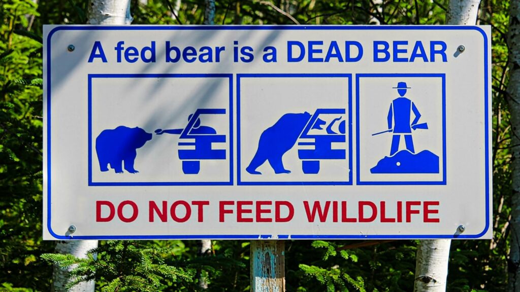 A sign that says "a fed bear is a dead bear. Do not feed wildlife."