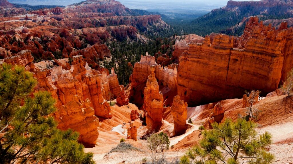 A picture of hoodoos at Bryce Canyon National Park
