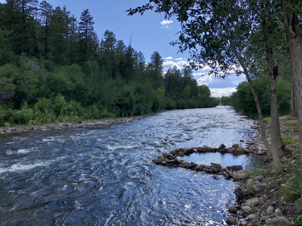 Dolores River in Colorado as it passes through a campground