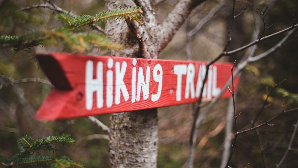 A red hiking trail sign nailed to a tree, show where to go for Hiking in Eugene oregon