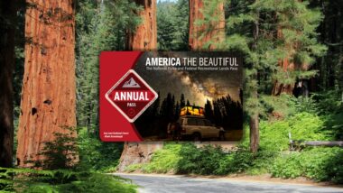 America the beautiful pass shown in front of redwoods national park
