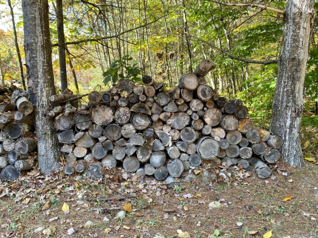 A pile of chopped wood between two trees at a campground