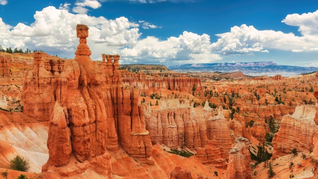 Bryce Canyon National Park showing it's orange hoodoos for miles 