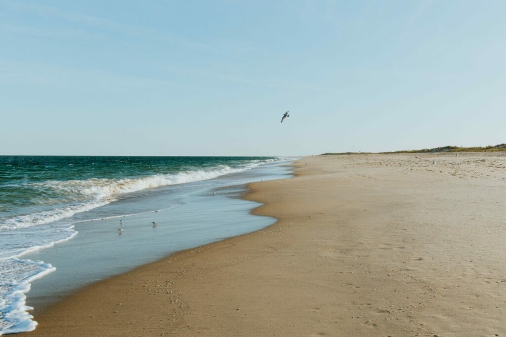 Delaware has many public beaches but is one of the states with no national parks.