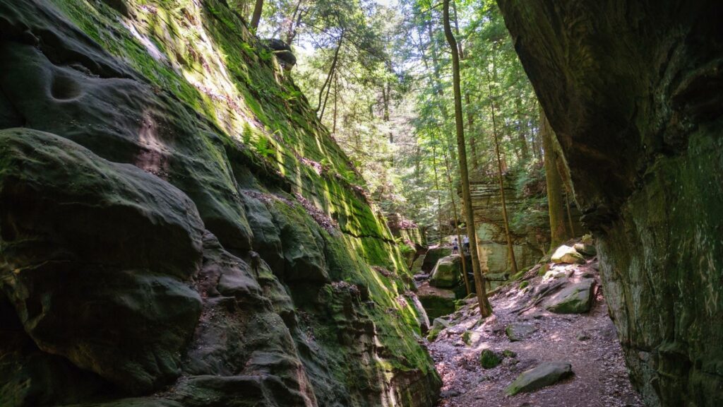 Canyon walls covered in moss at Cuyahoga Valley National Park 