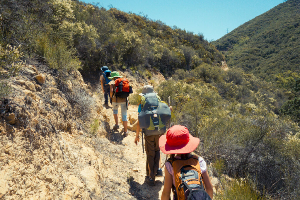 A group of kids exploring the outdoors while on a hike, one of the fun camping activities for kids