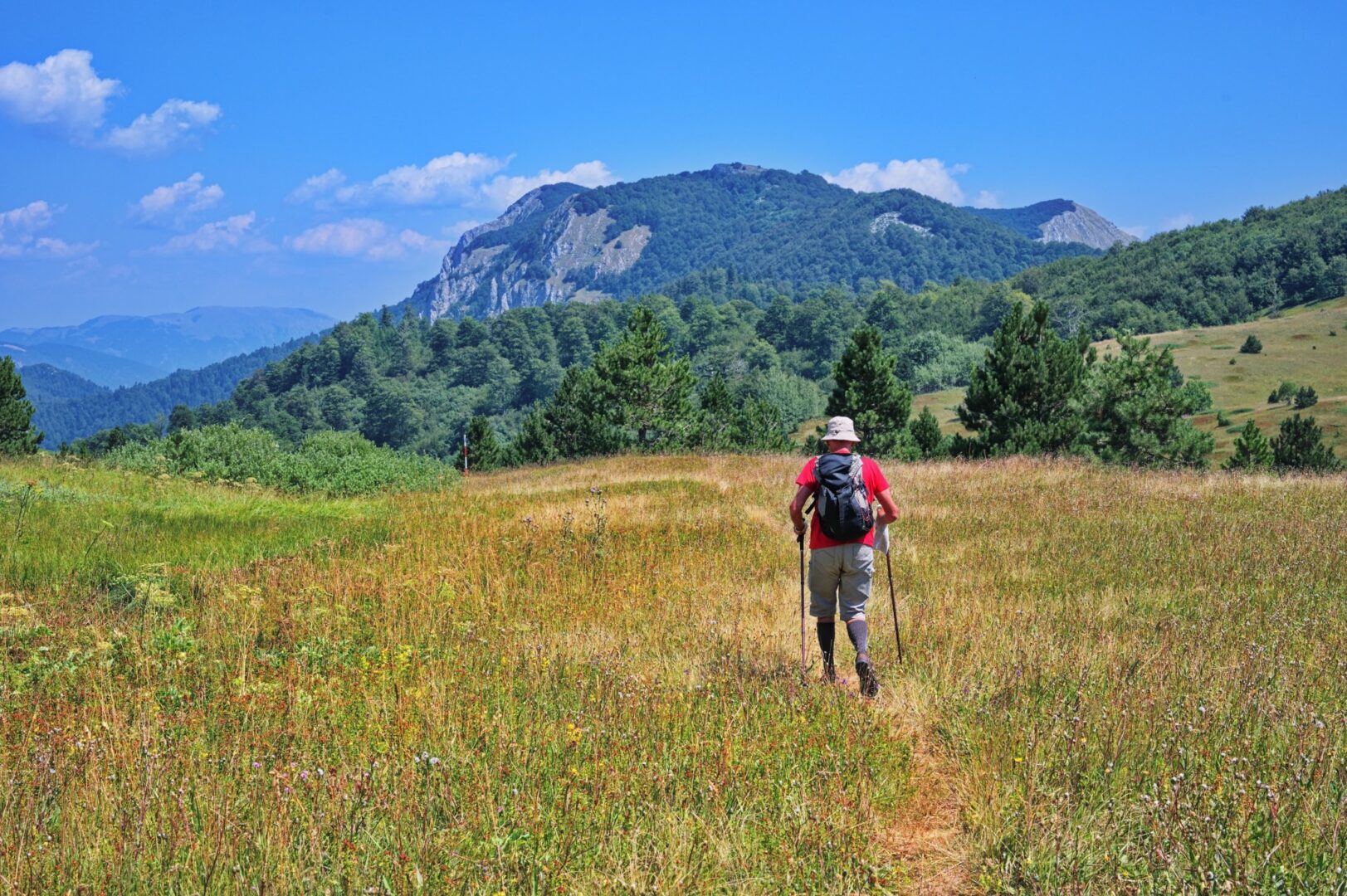 Is a National Park Pass for Seniors Worth It Now? Getaway Couple