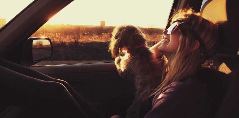 A girl smiling in the passenger seat with her dog while listening to country songs about the road