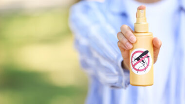 A person holding their mosquito repellent device