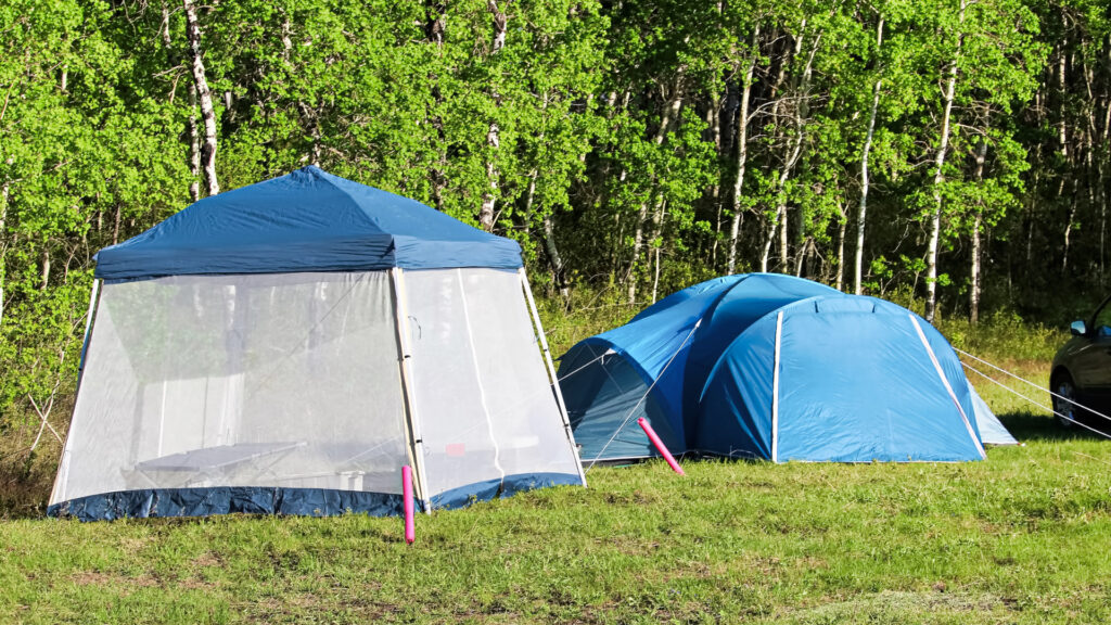 A mesh bug net tent