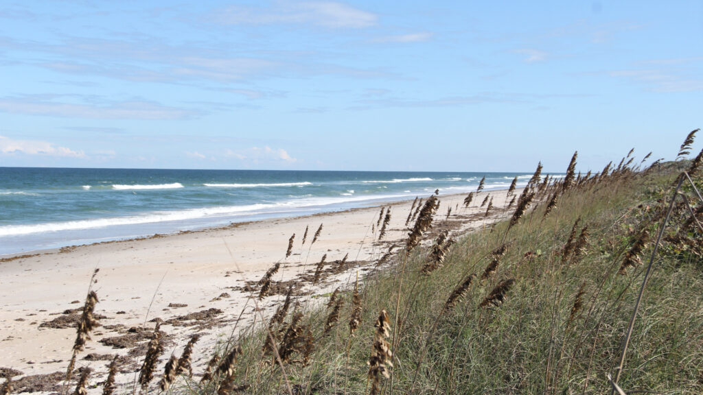 View of the beach at Canaveral National Seashore in Florida at one of the National Parks