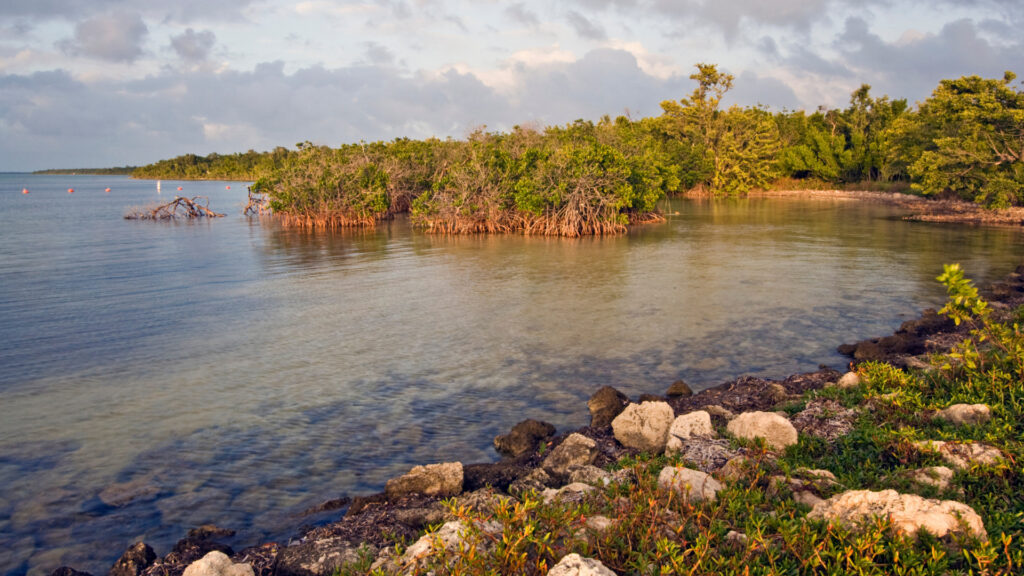 View of Florida's Biscayne National Park