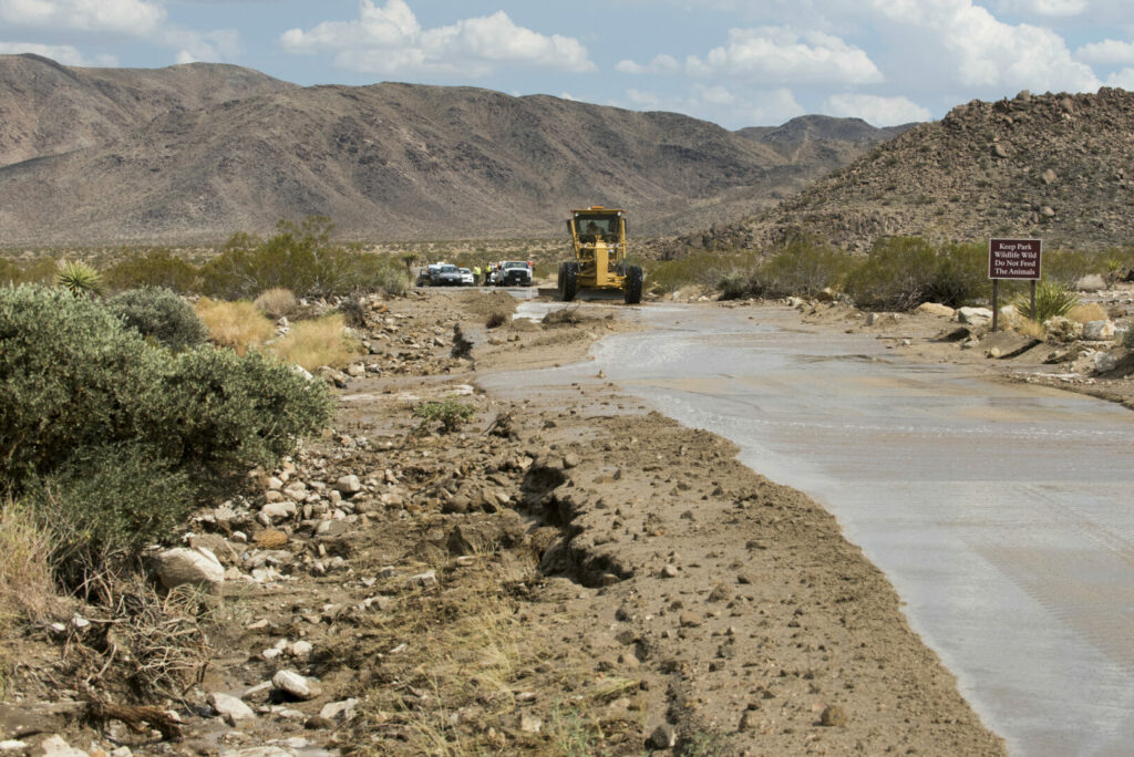 Flooding that covered road in Joshua Tree National Park