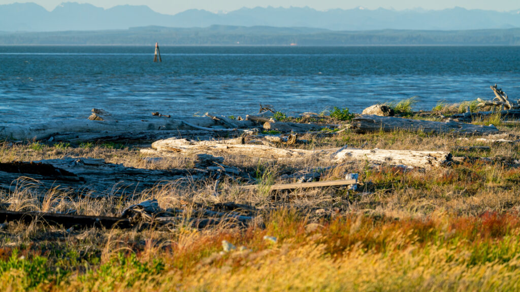 View of Damon Point, a popular area in ocean shores