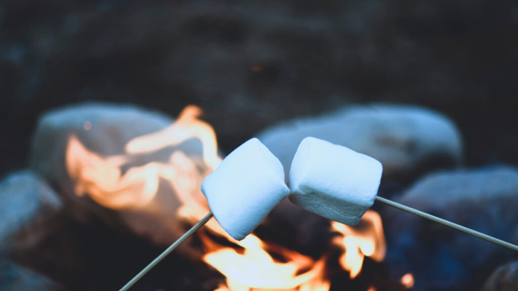 Toasting marshmallows over a fire with roasting sticks, which was listed on a fall camping packing list
