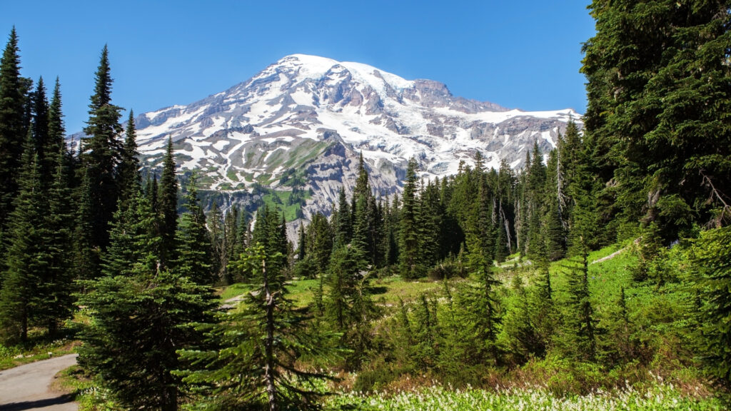 View of Mount Rainer National park near the thousand trails chehalis resort