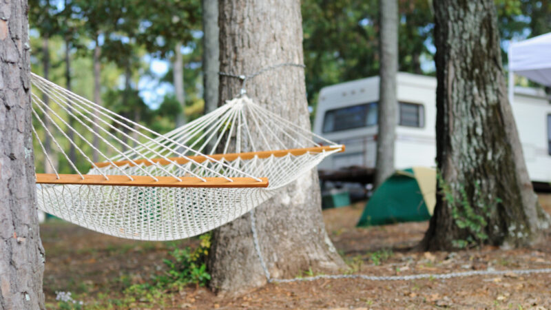 A hammock and an RV at thousand trails chehalis resort