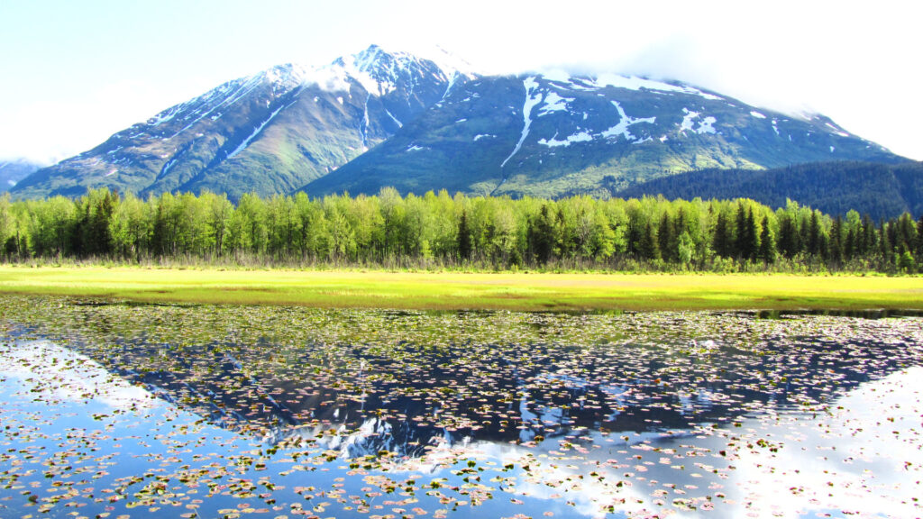 View of Kenjai Fjords National Park, one of Alaska's National Parks