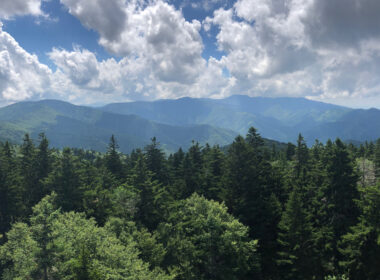 Great Smoky Mountains near an rv park in tennessee