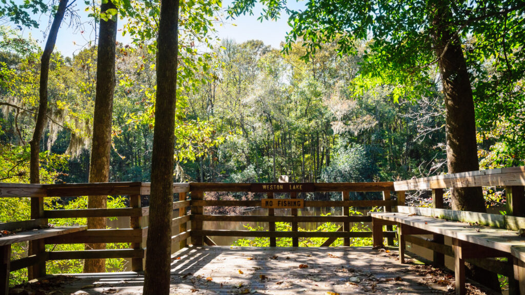 View of a seating area at Congaree National Park