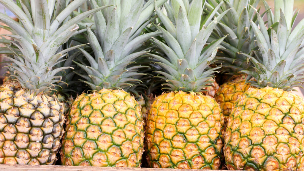 Close up of pineapples outside a home to show the meaning of upside down pineapple