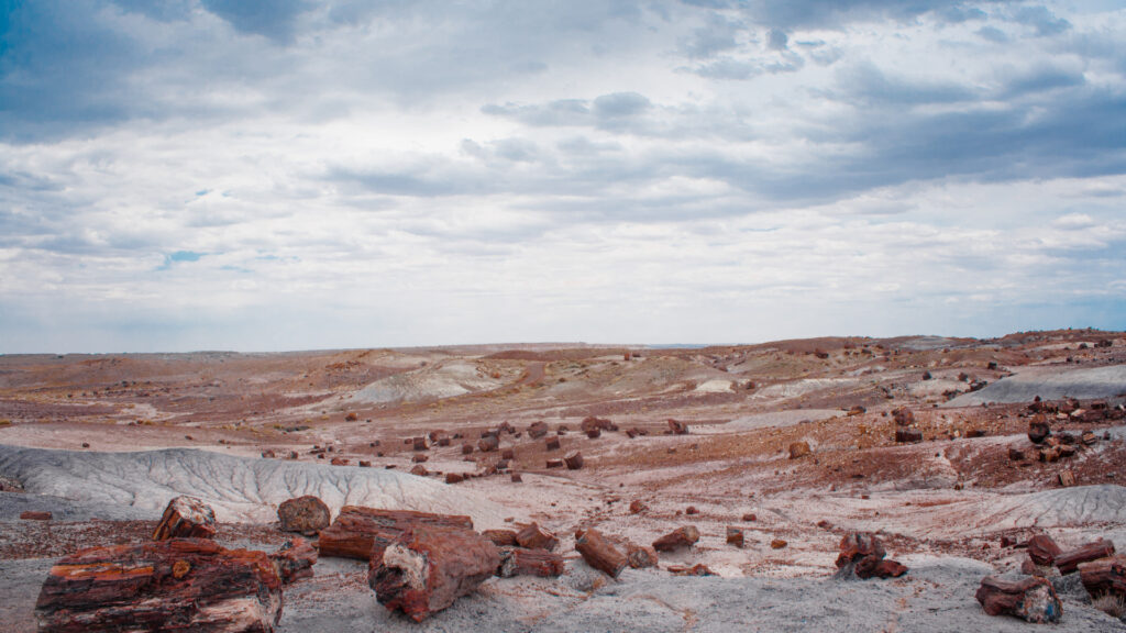 Petrified Forest National Park in the Southwest