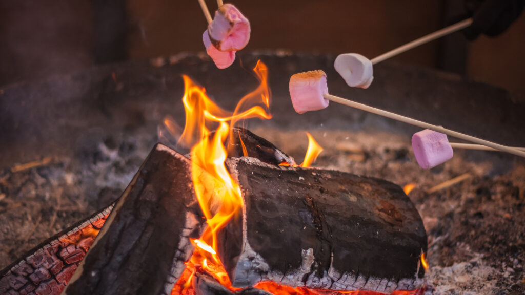 A group roasting marshmallows over a campfire which is better for this activity vs a bonfire