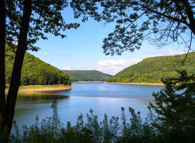 View of Allegheny National Forest near many camping spots by philadelphia
