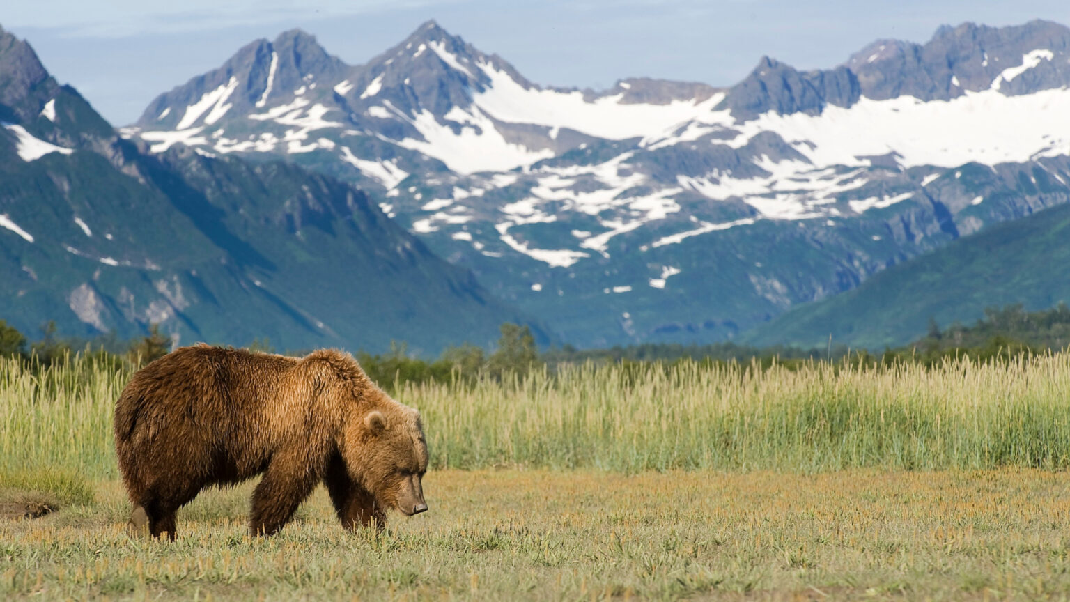 How Big is Alaska Compared to the USA? - Getaway Couple