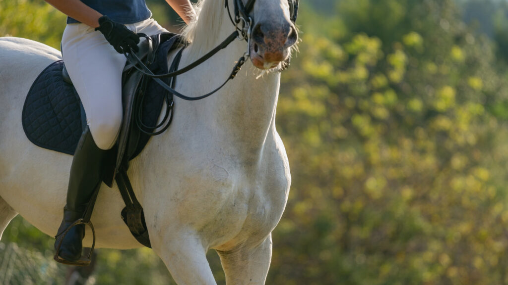 A person horseback riding in Hot Springs Virginia 