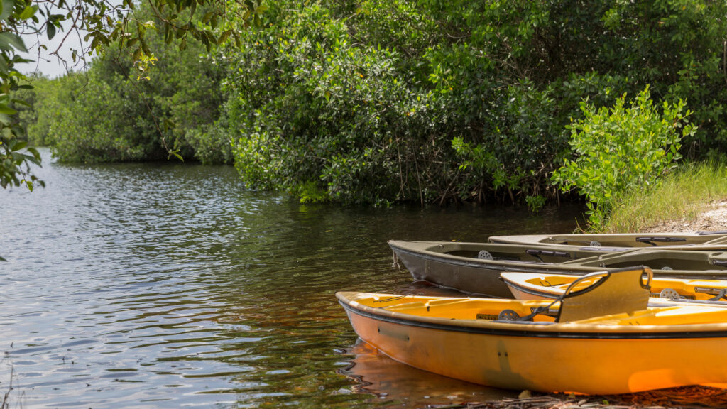 Canoes on the water in the Everglades