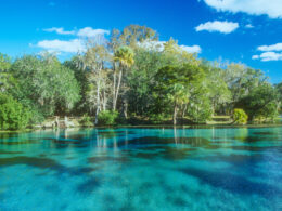 View of Rainbow hot springs in florida
