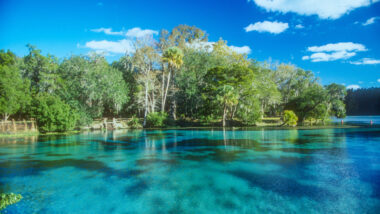 View of Rainbow hot springs in florida