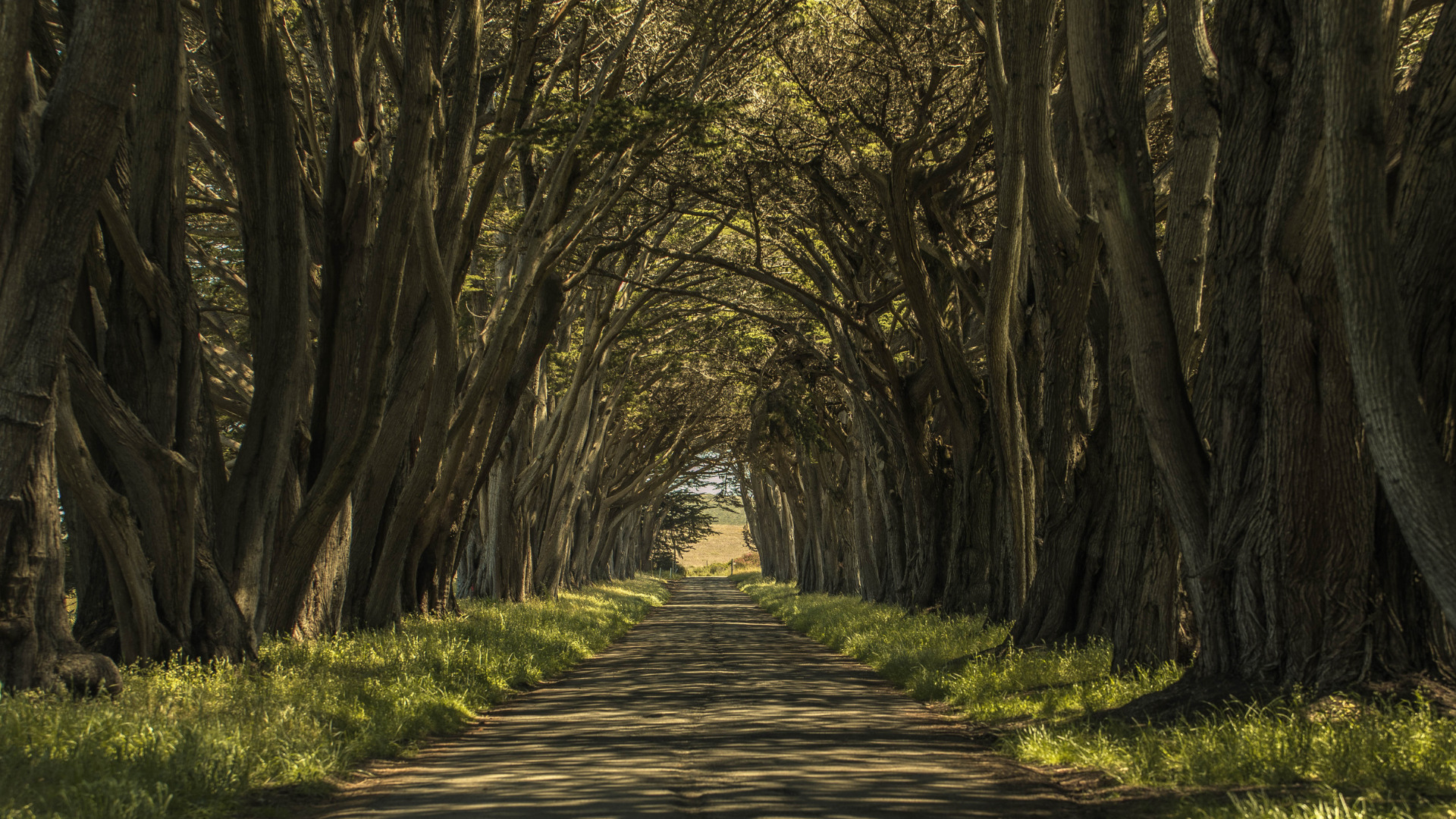 Mark Your Calendars: National Park Week is Coming - Getaway Couple