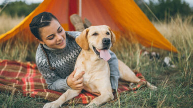 A dog and their owner sitting outside of their camping tent