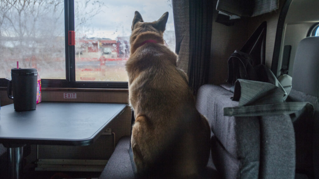 A dog in an RV crossing the Canadian border 
