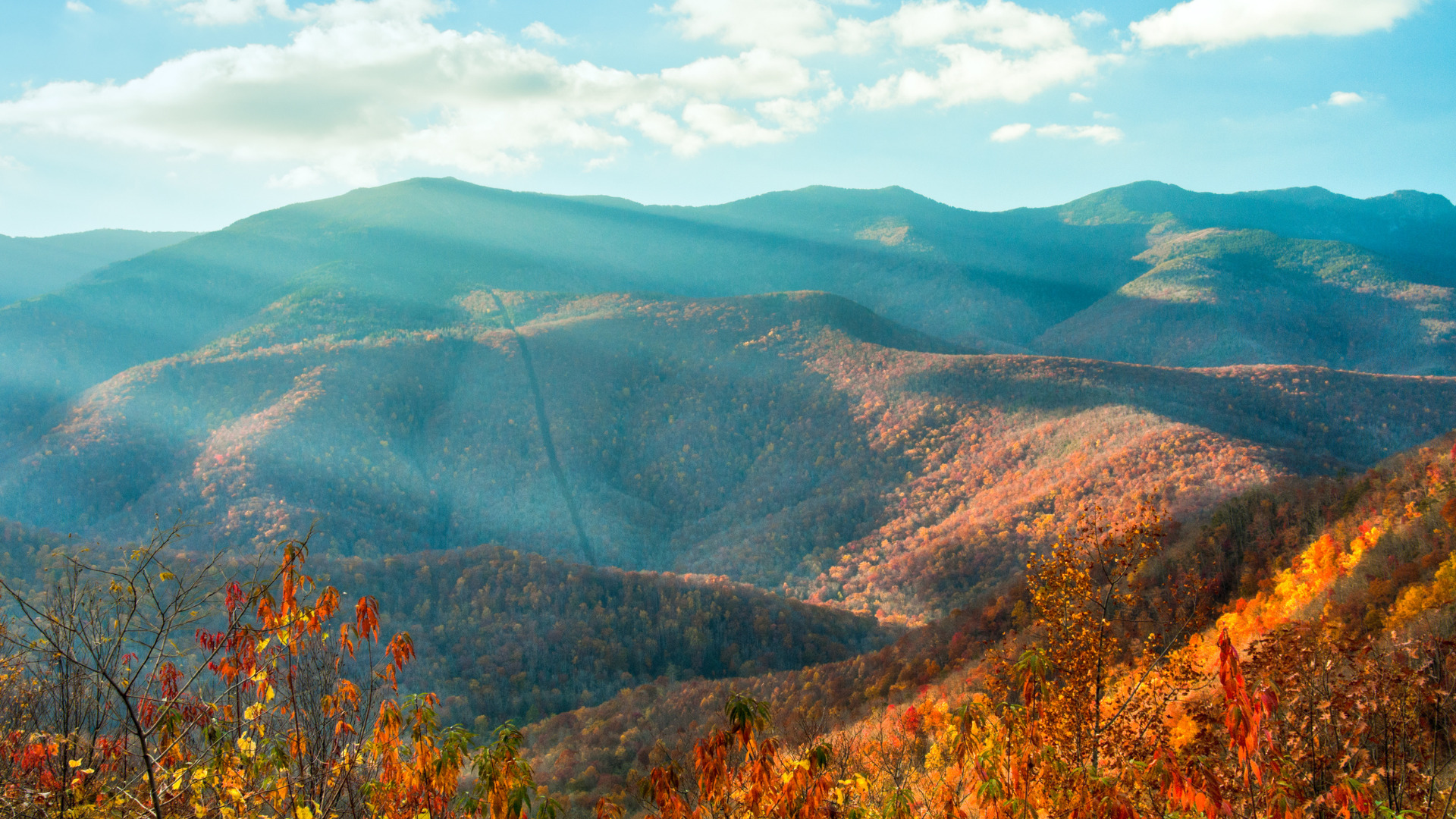 The Best Blue Ridge Parkway Overlooks for Views Getaway