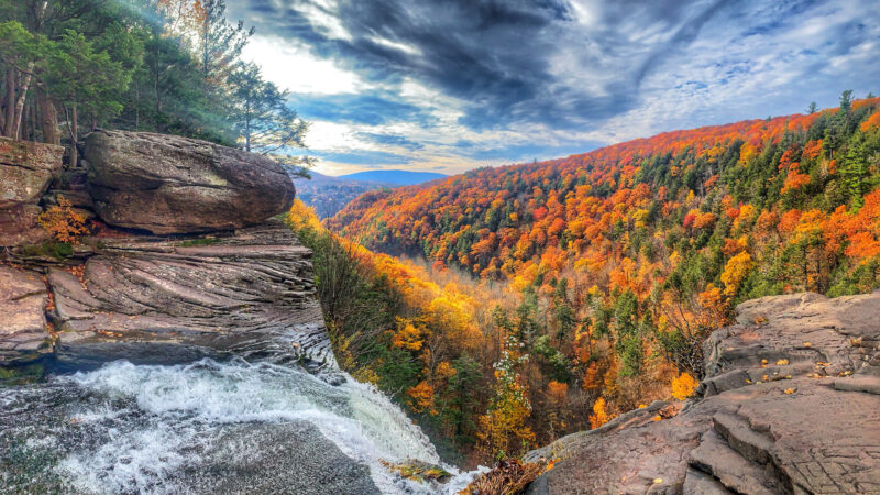 View of kaaterskill wild forest