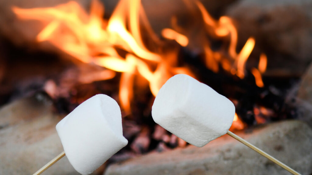 Close up of marshmallows being roasted over a campfire