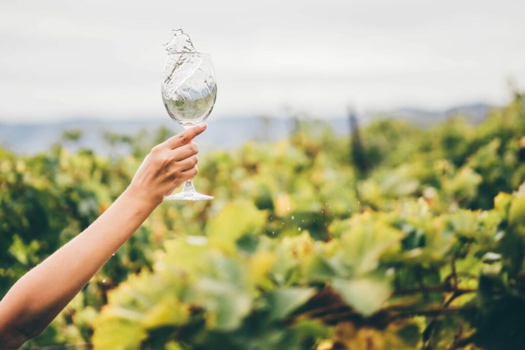 Hand splashing glass of wine over vines