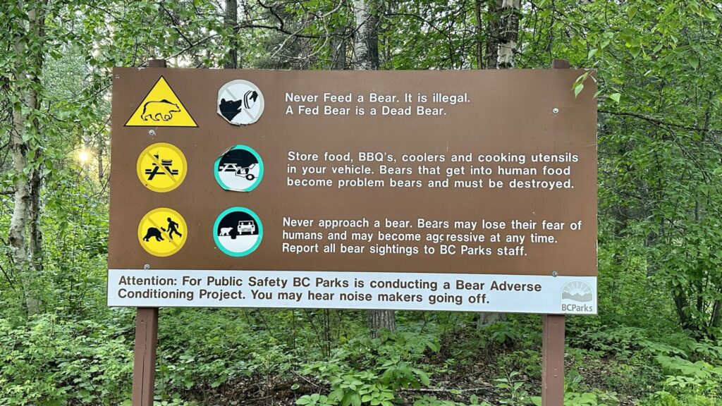 A sign of what to do when interacting with bears in the wilderness 