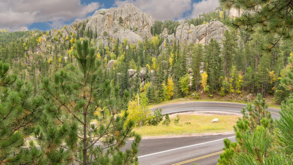 View of the needles highway